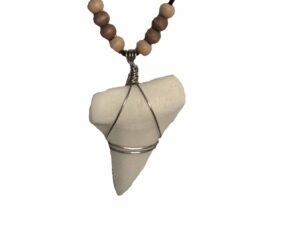 White Shark Replica Tooth Necklace