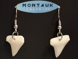 White Shark Tooth Earrings